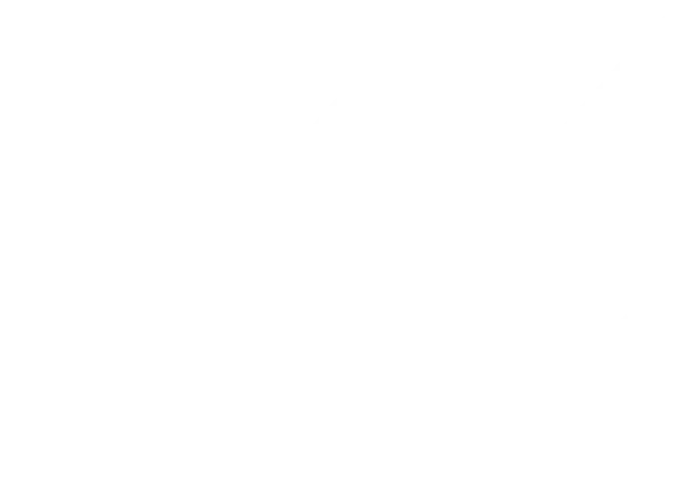 Main logo White